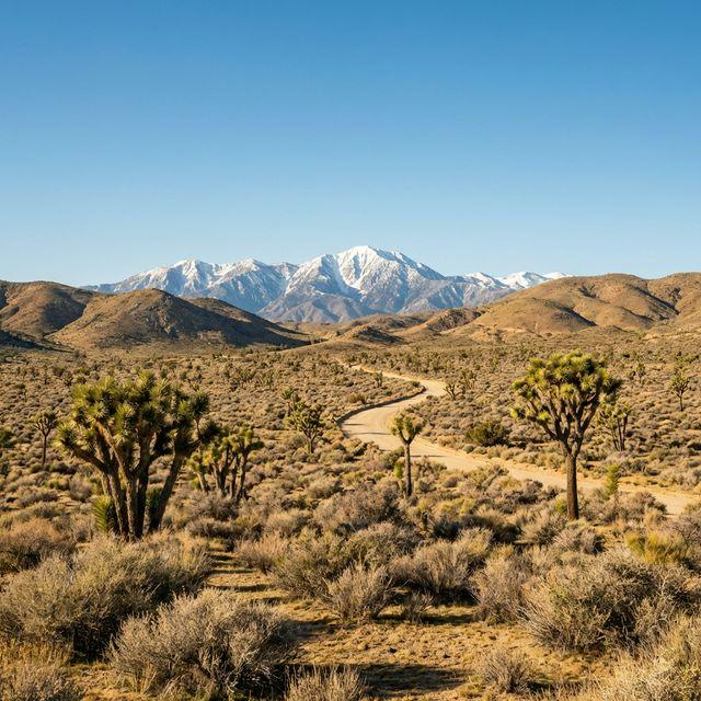 Drug rehab near Hesperia, CA