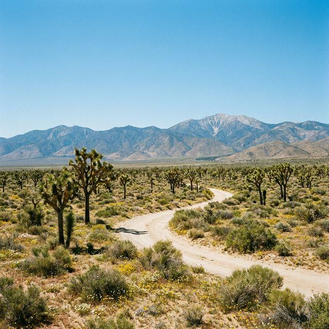 Drug rehab near Lucerne Valley, CA