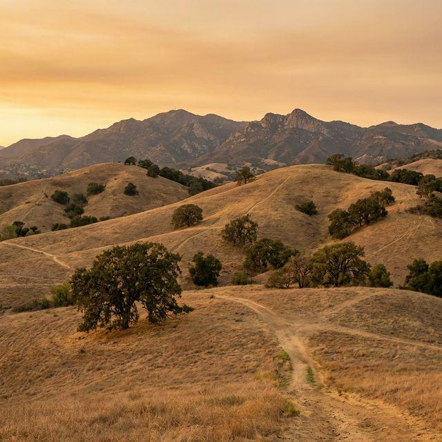 Drug rehab near Newbury Park, CA