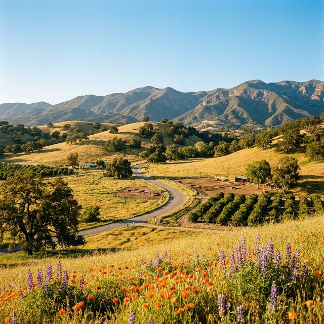 Drug rehab near Upper Ojai, CA