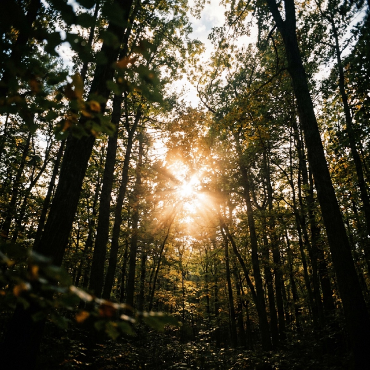 Finding a Higher Power: What It Means and Doesn't Mean in Recovery