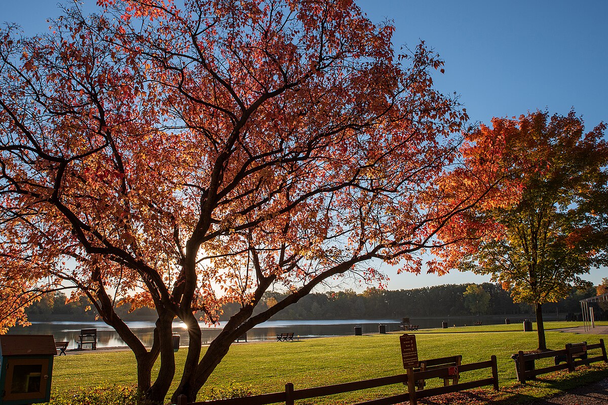 Drug rehab near Rochester Hills, MI