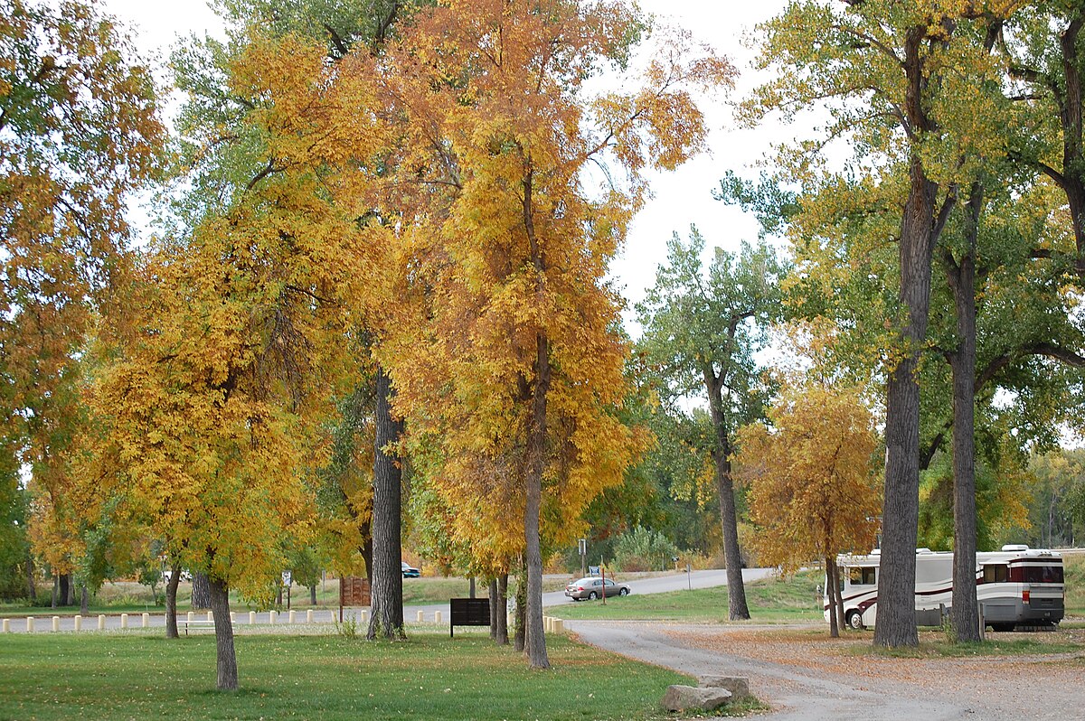 Drug rehab near Laurel, MT