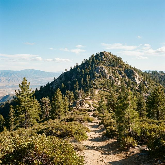 Drug rehab near Sugarloaf, CA