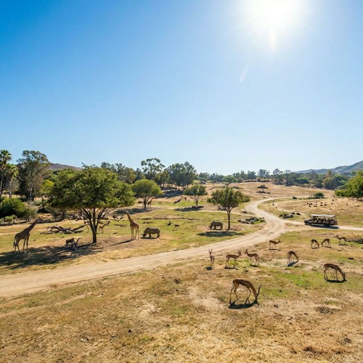 Drug rehab near Escondido, CA