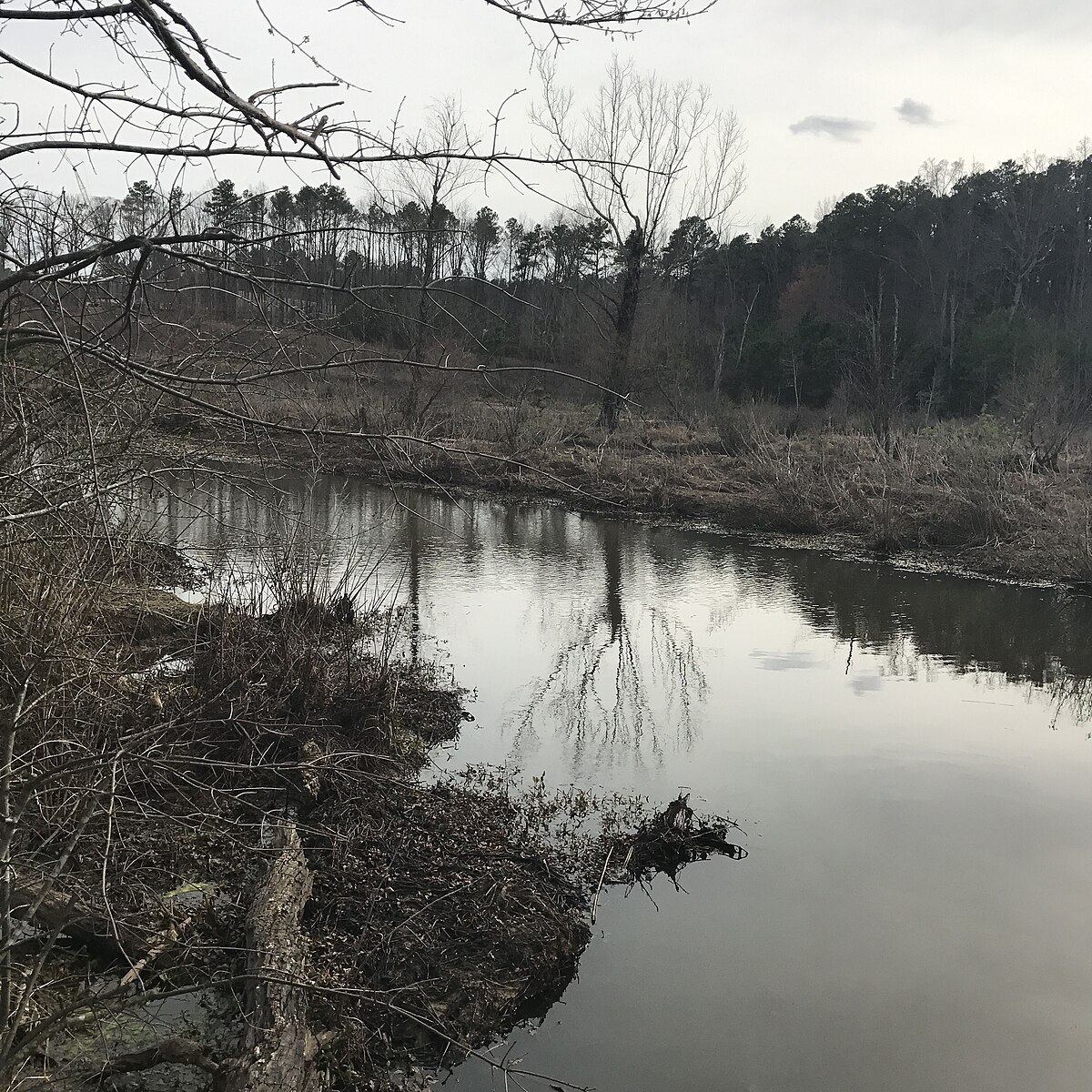 Drug rehab near Tuckahoe, VA